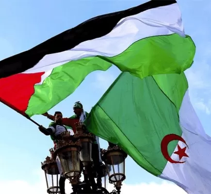 كيف رد الناشطون على سؤال الإخوان: هل الجزائر مع فلسطين؟
