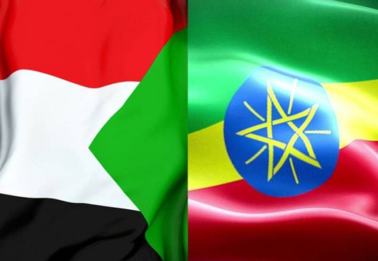 سيعزز التعاون الإماراتي الإثيوبي من جهود التنمية بين البلدين وسائر دول القرن الأفريقي