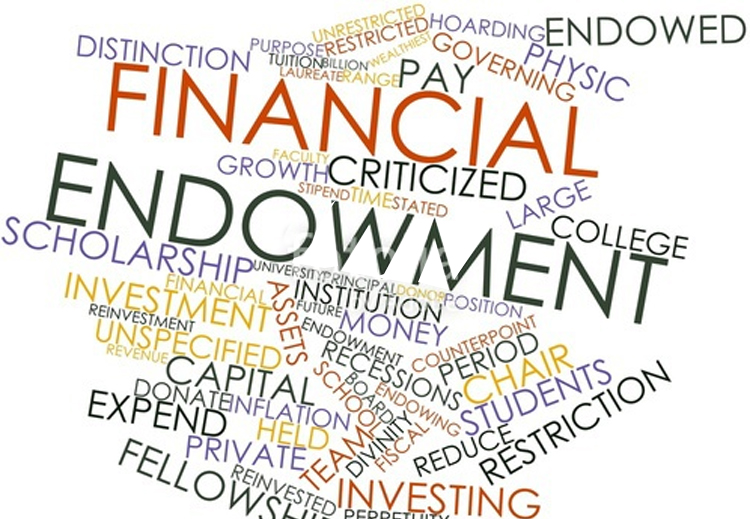 (Financial endowment)