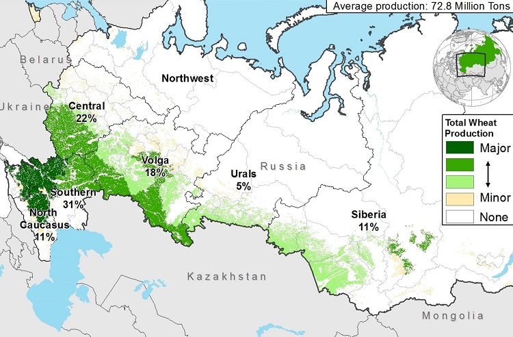 باللون الأخضر... مناطق تركّز إنتاج محاصيل القمح في روسيا معظمها في المناطق الجنوبية