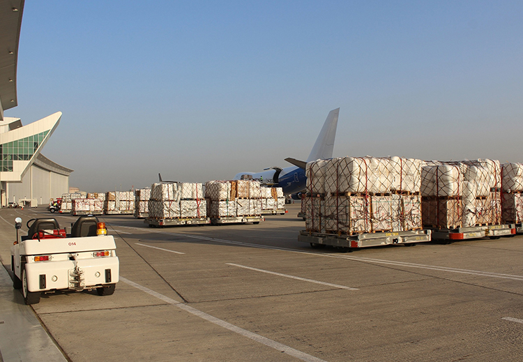 طائرة مساعدات إنسانية إماراتية عاشرة تصل إلى مطار كابل الدولي