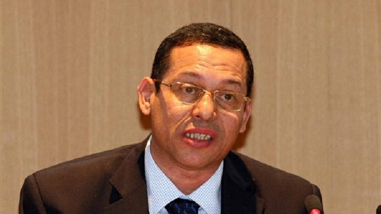 عضو المجلس المصري للشؤون الخارجية أيمن سلامة