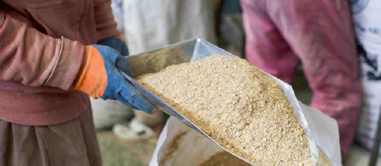 تسعى الدول الأفريقية لتوفير التخزين الممتاز للقمح وتوفير الأعلاف بأسعار مخفضة لتعويض ارتفاع تكاليف الأعلاف الحيوانية