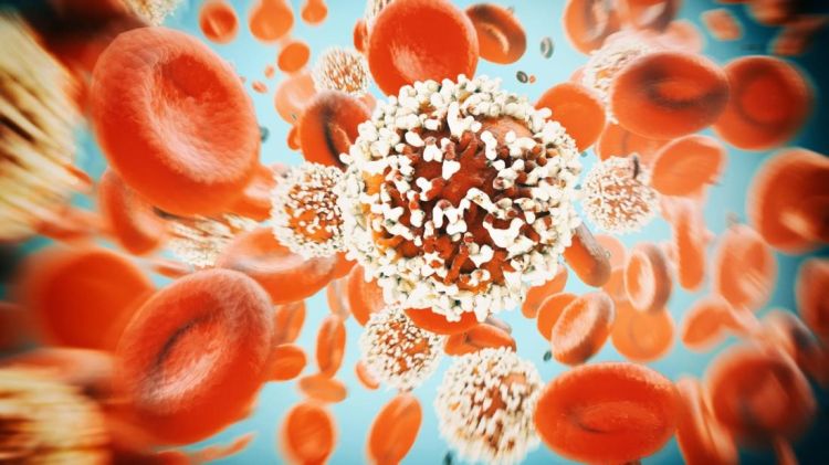 لم يجد العلماء بعد محفزات أكيدة للسرطان لكن الدراسات توضح تأثير النمط الغذائي والتلوث المائي والهوائي على تنشيط الخلايا السرطانية