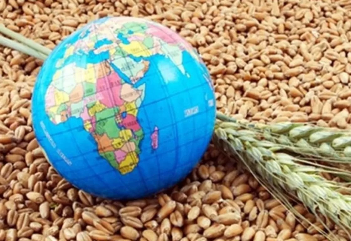 كيف يتعايش العالم مع أزمة الغذاء؟ ومتى يتجاوزها؟ كيف يتعايش العالم مع أزمة الغذاء؟ ومتى يتجاوزها؟