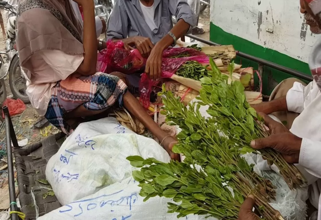 ضريبة القات بتعز تفضح فساد الإخوان... ما الجديد؟