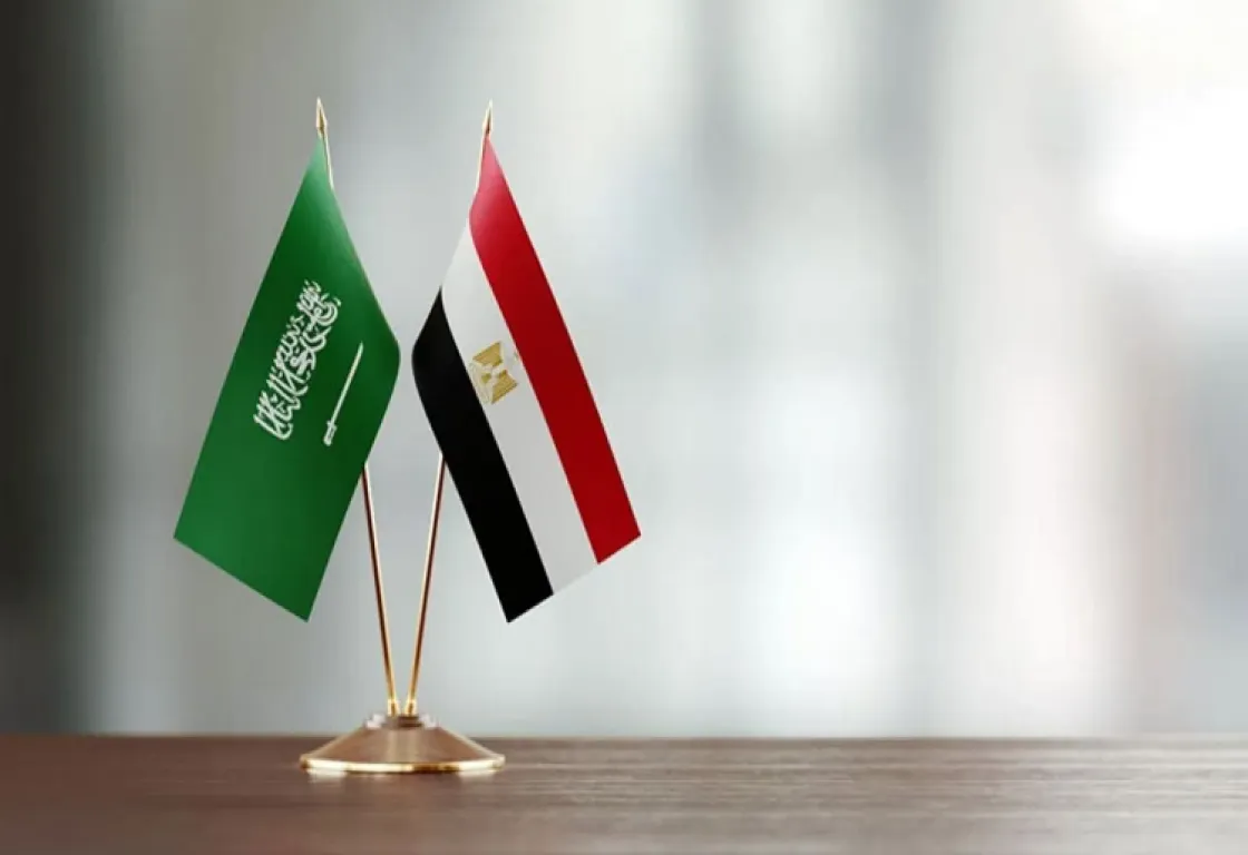 الإخوان والحرب الرقمية ضد التحالف المصري - السعودي