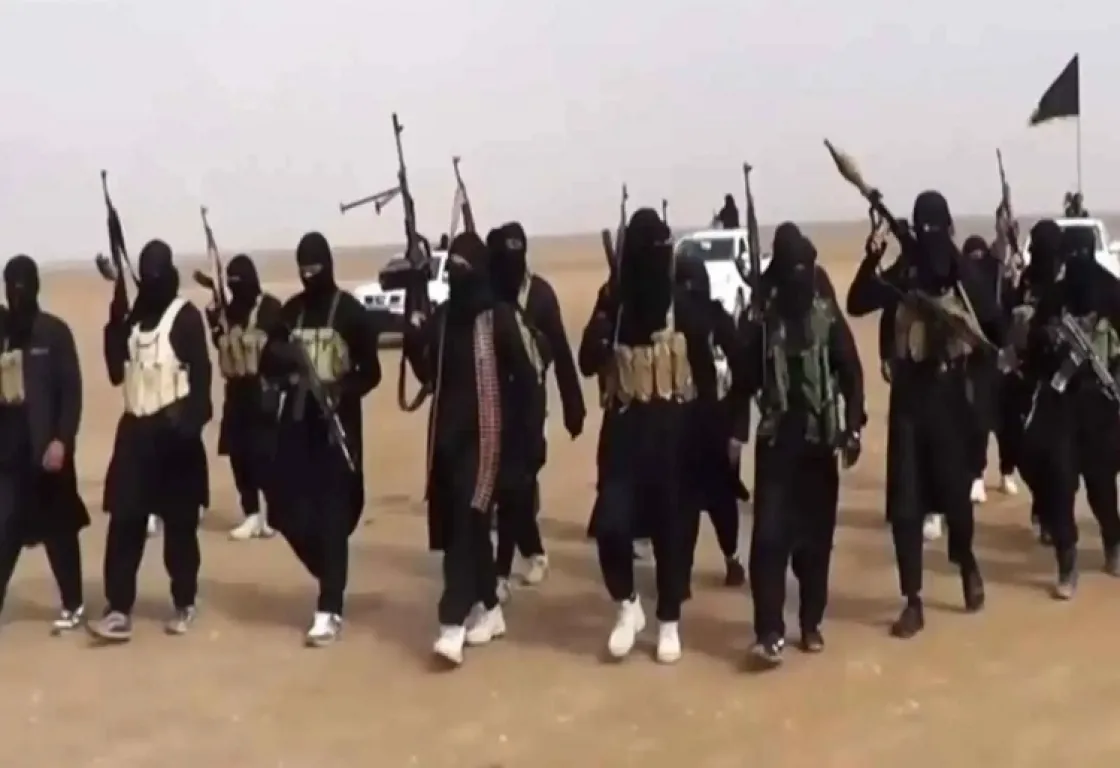 من القاعدة إلى داعش.. قصة الجذور الفكرية المثيرة للجدل