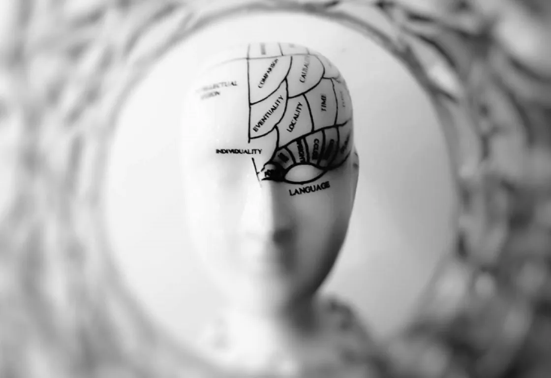 "تعفن الدماغ"... جائحة جديدة تهدد العالم