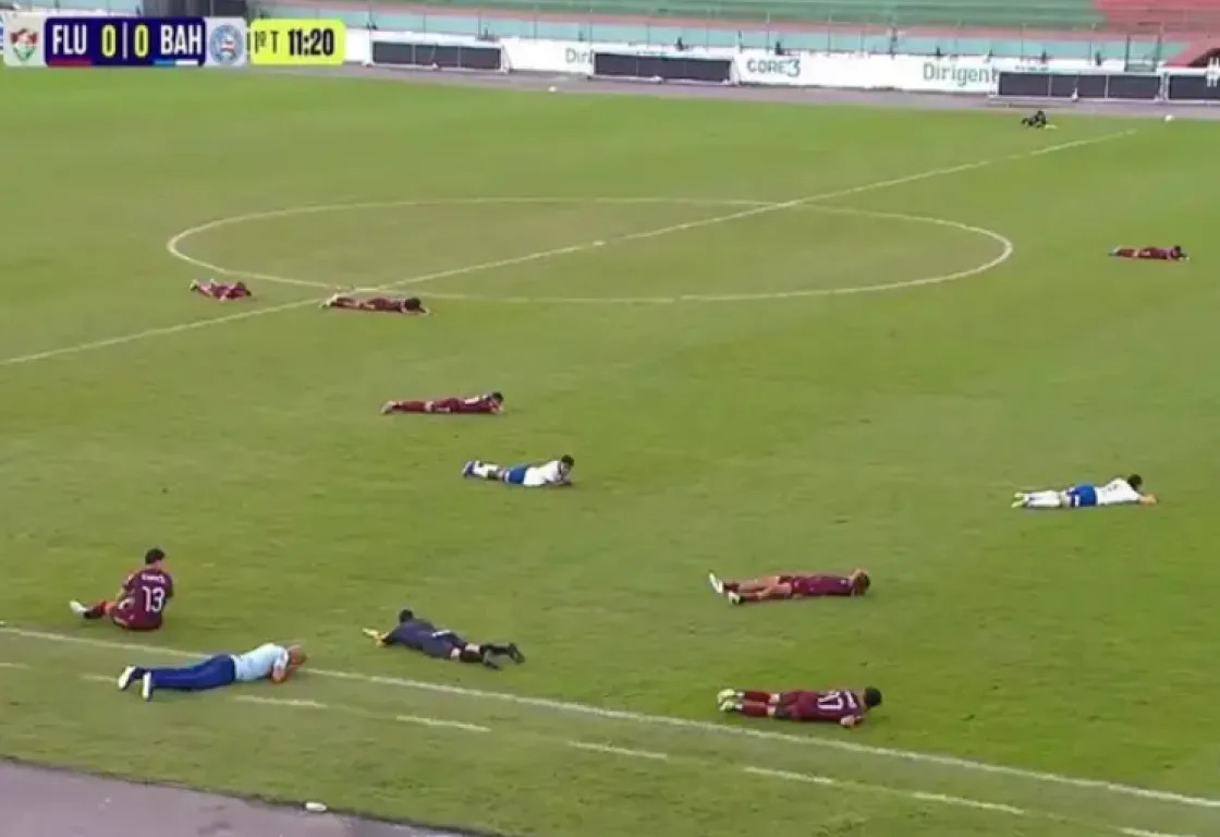 سرب نحل يقتحم الملعب ويؤجل نهائي بطولة في البرازيل