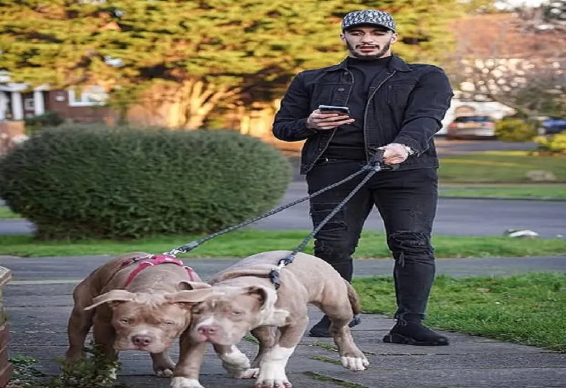 محاكمة النجم الجزائري سعيد بن رحمة في بريطانيا بسبب الكلاب محاكمة النجم الجزائري سعيد بن رحمة في بريطانيا بسبب الكلاب