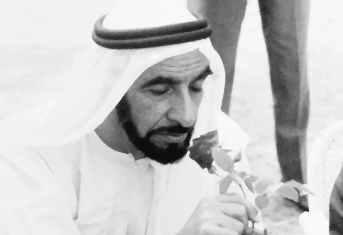 نحو تحويل الصقارة إلى صناعة ثقافية متكاملة نحو تحويل الصقارة إلى صناعة ثقافية متكاملة