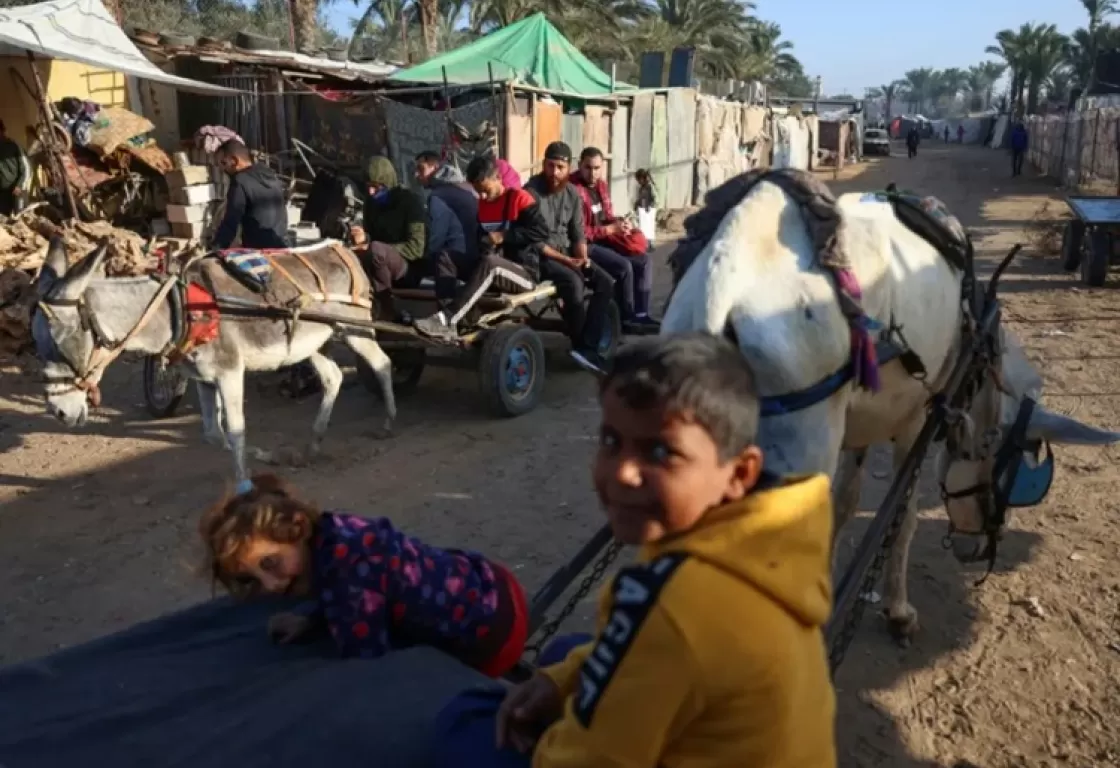 نهب حتى الحمير: الاحتلال يسرق وسيلة نجاة الفقراء في غزة نهب حتى الحمير: الاحتلال يسرق وسيلة نجاة الفقراء في غزة