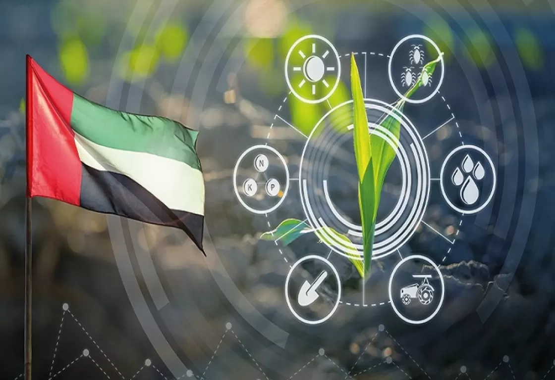 كيف استفادت الإمارات من التكنولوجيا الزراعية لتحقيق الأمن الغذائي؟ كيف استفادت الإمارات من التكنولوجيا الزراعية لتحقيق الأمن الغذائي؟