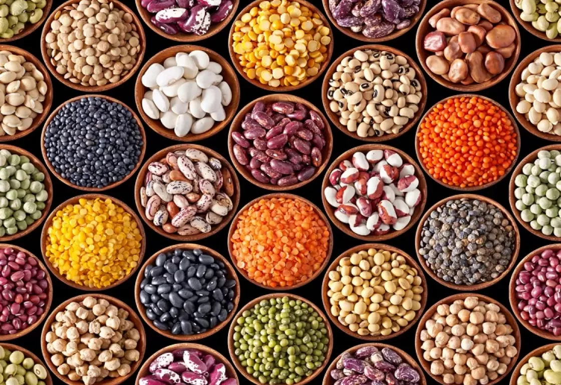 عدة خيارات نباتية غنية بالبروتين تناسب رمضان... تعرف إليها عدة خيارات نباتية غنية بالبروتين تناسب رمضان... تعرف إليها