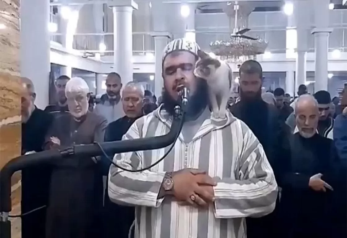 فيديو رفقه بالقطة جاب العالم... هذا ما قاله الإمام الجزائري في أول تعليق فيديو رفقه بالقطة جاب العالم... هذا ما قاله الإمام الجزائري في أول تعليق