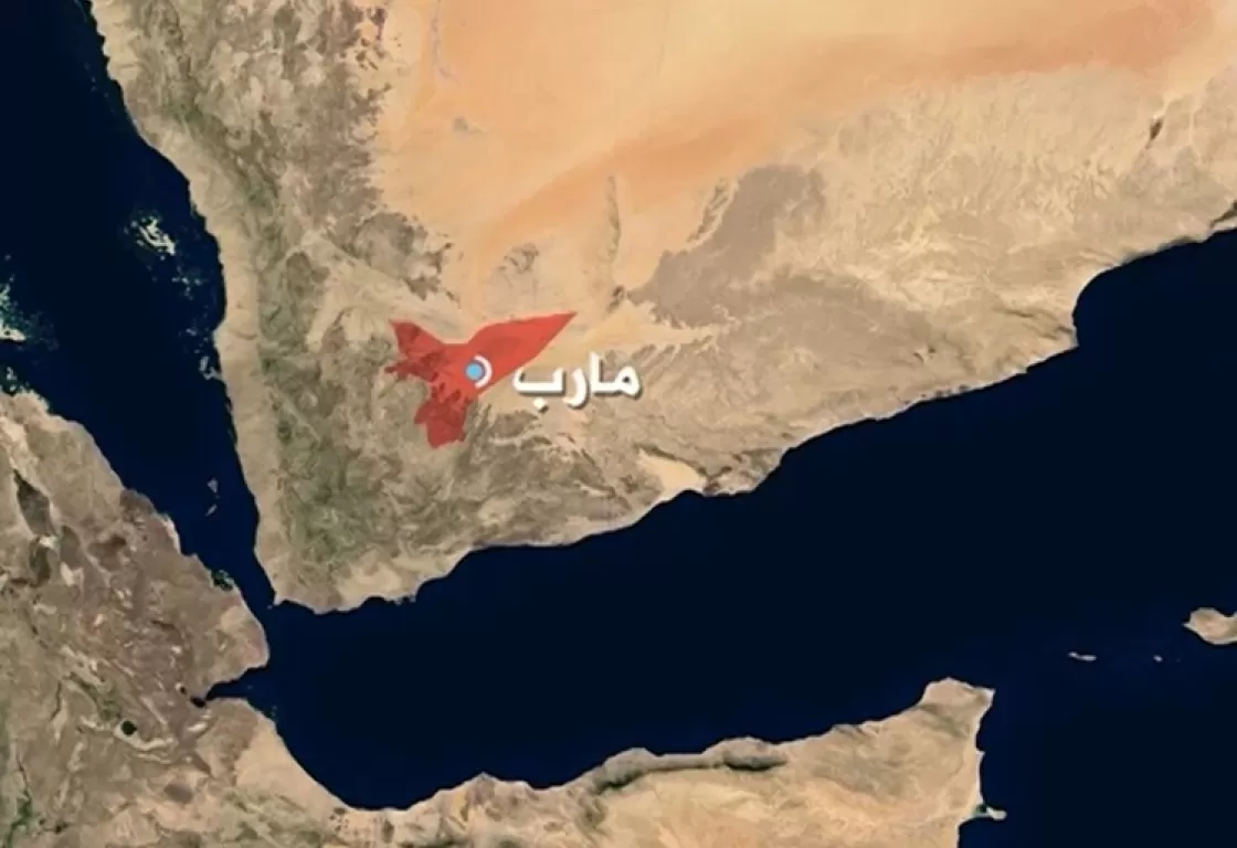 آخر جرائم الإخوان في مأرب اليمنية