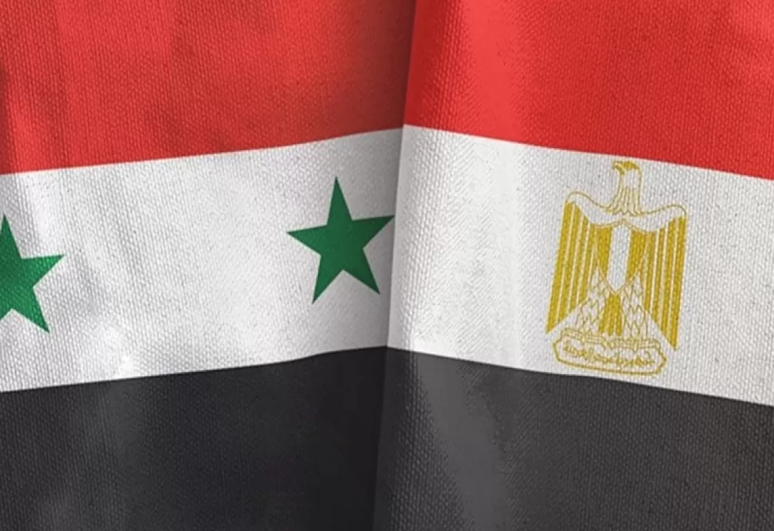 يقاتلون إلى جانب الجماعات الإرهابية في سوريا، ويتربصون بمصر... مفكر سياسي يُحذر من الإخوان