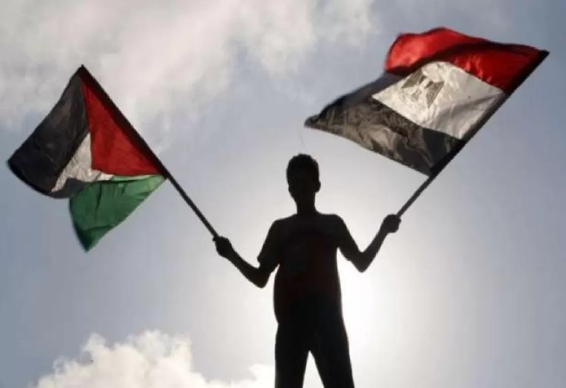 يسعون لتشويه دور مصر في القضية الفلسطينية... نواب مصريون يردون على الإخوان يسعون لتشويه دور مصر في القضية الفلسطينية... نواب مصريون يردون على الإخوان