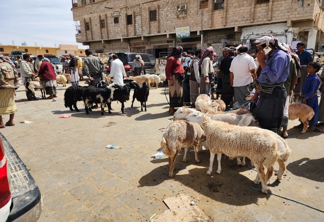 فضيحة تهز تعز... كيف حرم "إخوان اليمن" فقراء تعز من أضاحي العيد؟