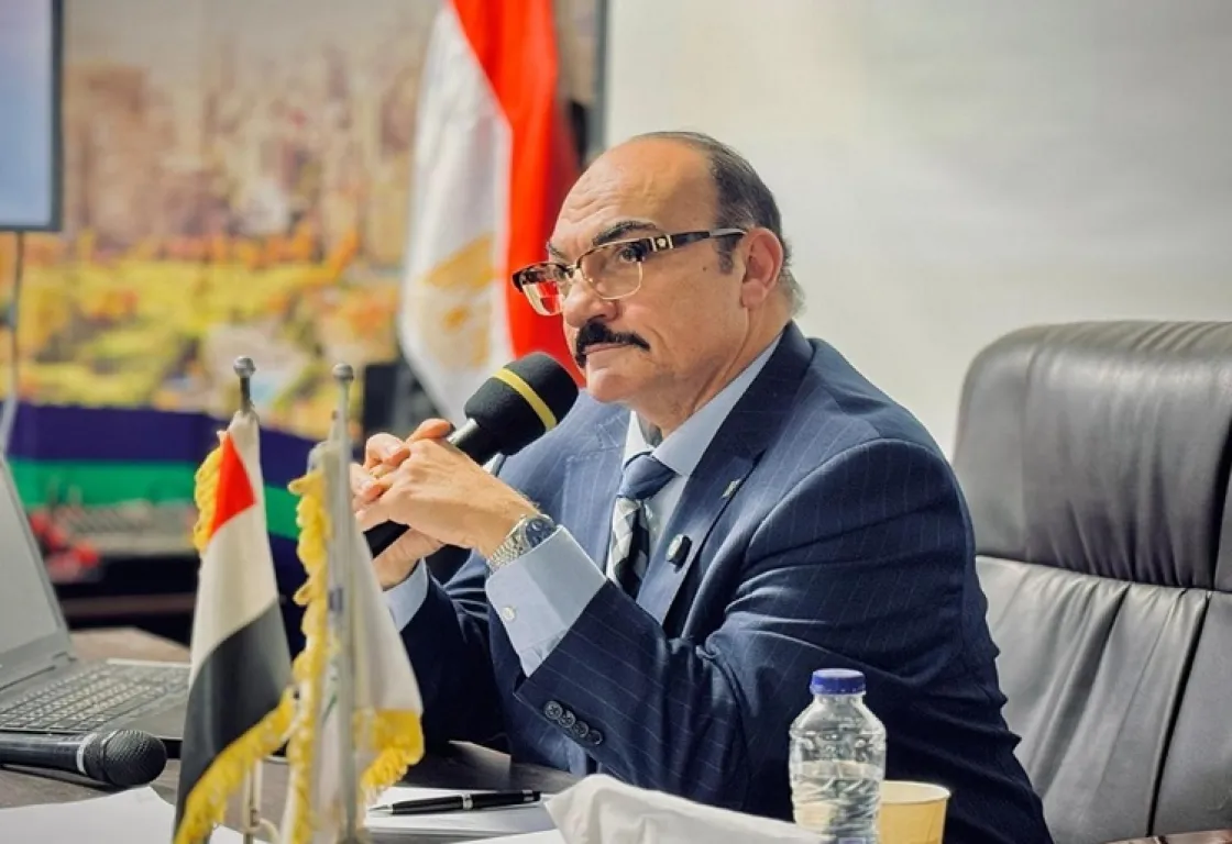 "الإخوان جزء من مخطط تدمير المنطقة"... أكاديمي يوضح كيف حاولوا تحويل مصر إلى دولة فاشلة