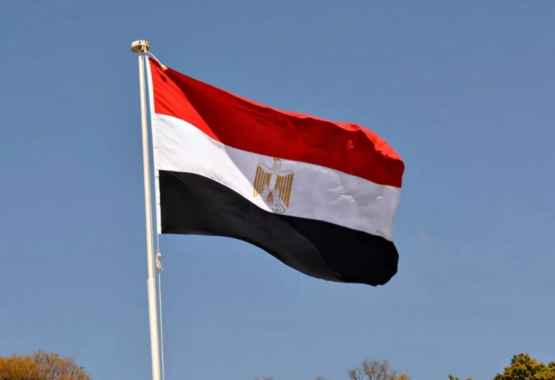 دعاة الفتنة والفوضى... إعلاميان يُعلقان على حراك الإخوان بعد ترشح السيسي دعاة الفتنة والفوضى... إعلاميان يُعلقان على حراك الإخوان بعد ترشح السيسي