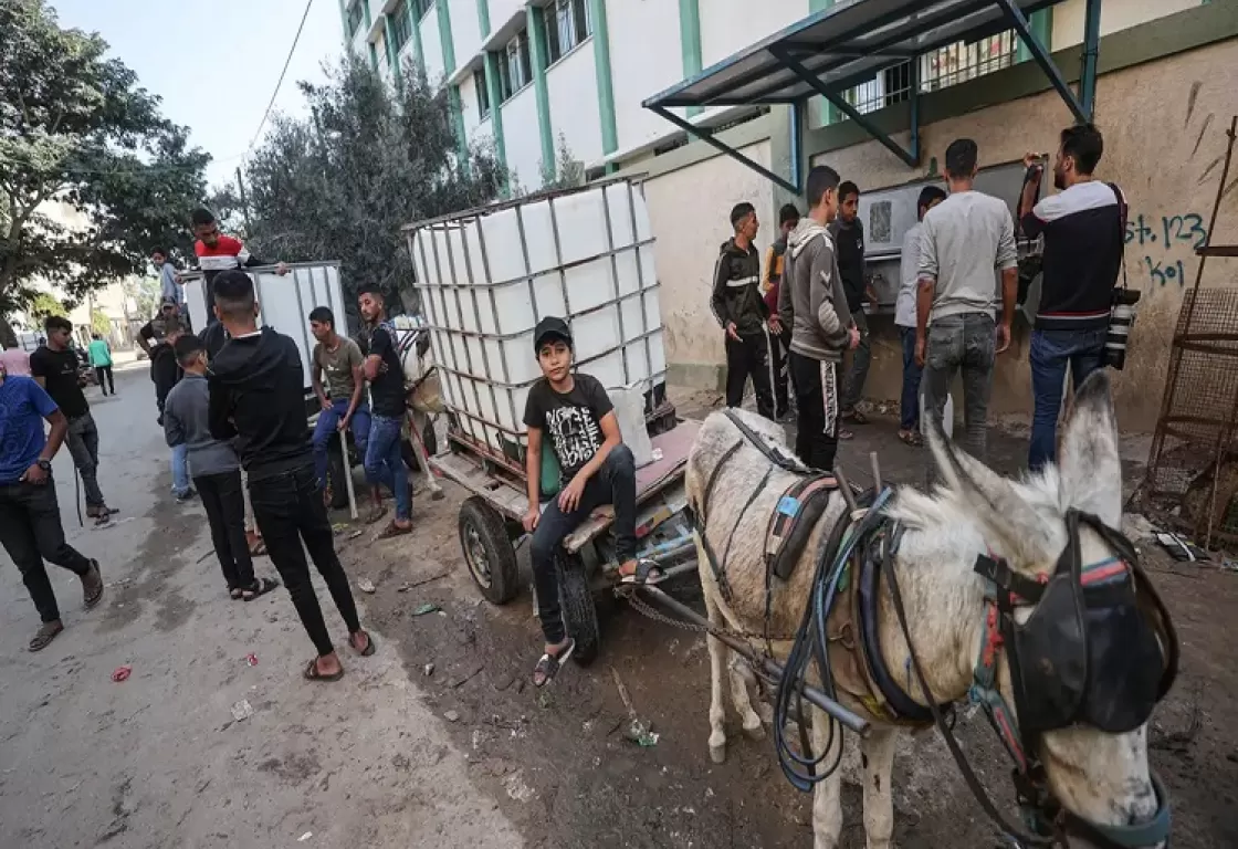 النزوح والمرض والجوع... بعض سمات الكارثة الإنسانية التي تعصف بقطاع غزة النزوح والمرض والجوع... بعض سمات الكارثة الإنسانية التي تعصف بقطاع غزة