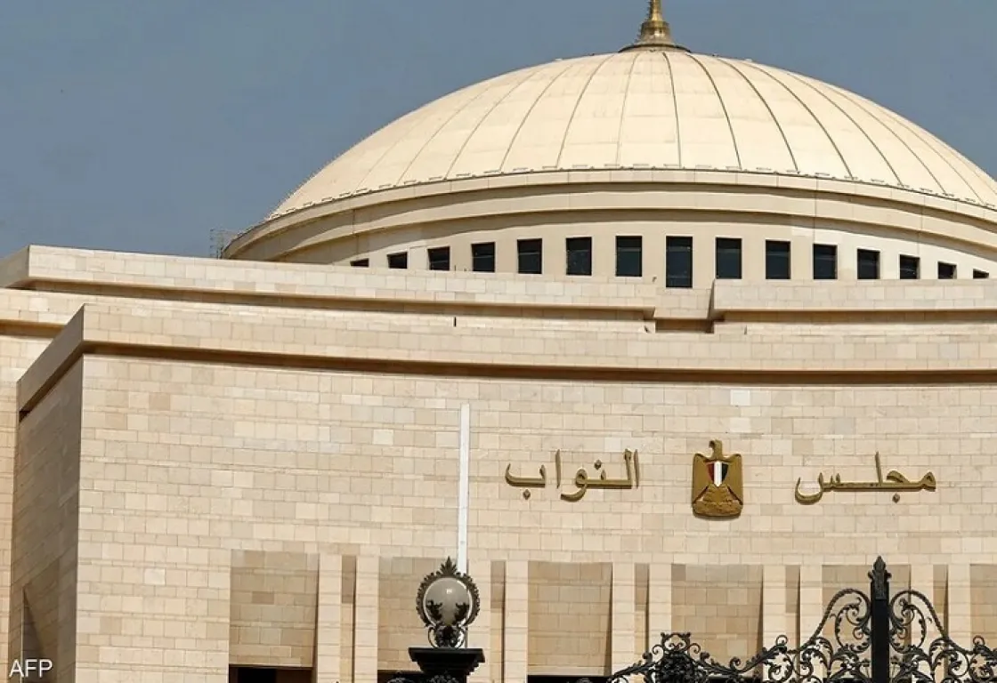 موقف البرلمان المصري من قرار تصنيف تكساس لجماعة الإخوان منظمة إرهابية