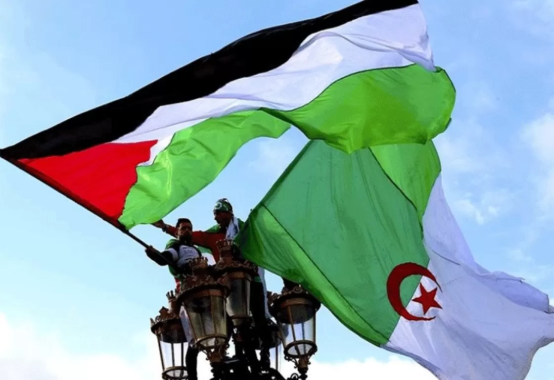 كيف رد الناشطون على سؤال الإخوان: هل الجزائر مع فلسطين؟ كيف رد الناشطون على سؤال الإخوان: هل الجزائر مع فلسطين؟