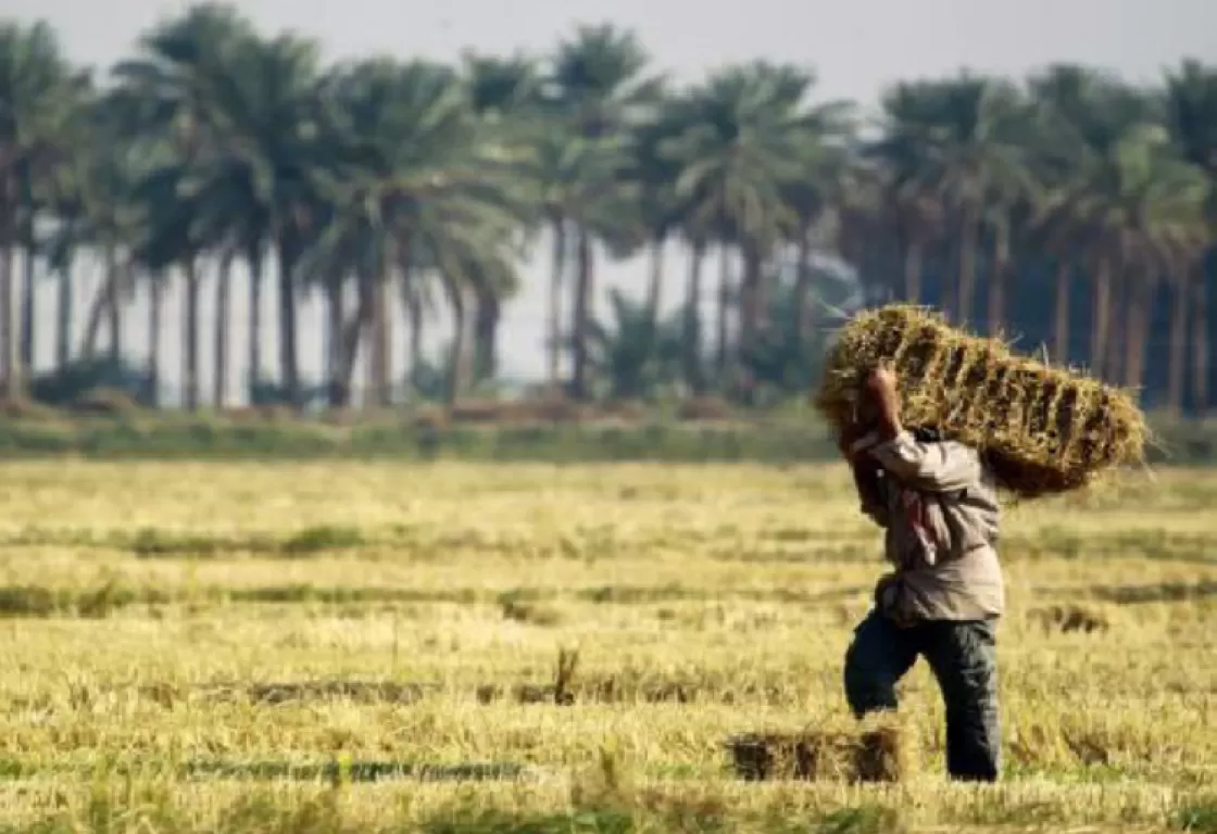 من الطابو العثماني إلى الإصلاح الزراعي.. تحوّلات ملكيّة الأرض في العراق الحديث من الطابو العثماني إلى الإصلاح الزراعي.. تحوّلات ملكيّة الأرض في العراق الحديث
