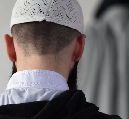 الإسلاموية تحدياً أيديولوجياً وخطراً تنظيمياً