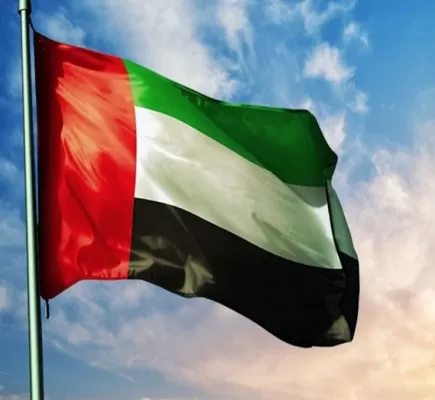 الإمارات وسقوط الإخوان على أعتاب الدولة