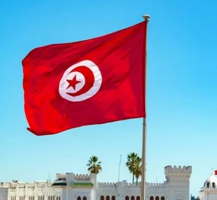 الأزمات في تونس مفتعلة... ما علاقة الإخوان؟