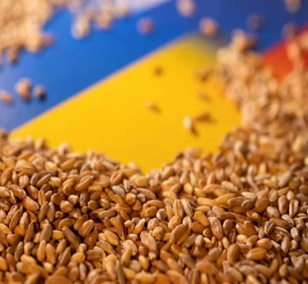 اتفاق تصدير الحبوب على المحك... أي أزمة جديدة تنتظر منظومة الغذاء العالمي؟
