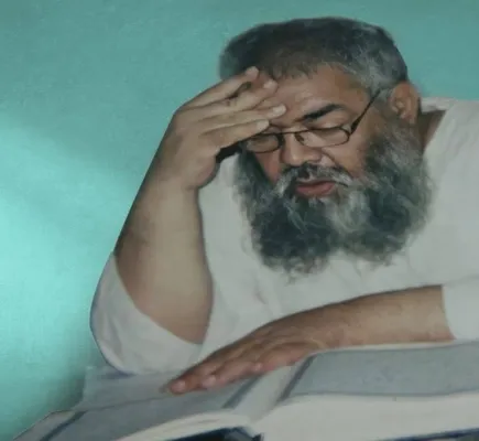 رفاعي سرور... المعادل الطبيعي لسيد قطب رفاعي سرور... المعادل الطبيعي لسيد قطب