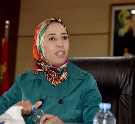 أمينة ماء العينين تعمق جراح الإخوان في المغرب