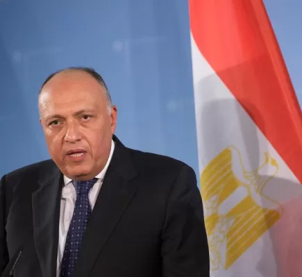وزير الخارجية المصري يطرح حلاً لأزمة الغذاء العالمية... ما هو؟