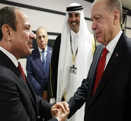 ادعى أن تركيا ستُقسم وستزول... أنقرة تحقق مع إخواني مصري بهذه التهم