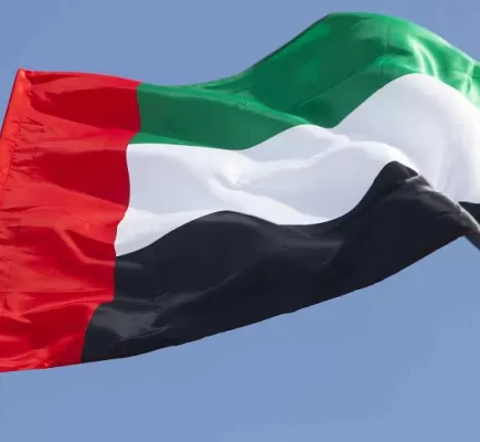 مخطط إحياء جماعة الإخوان... لماذا يستهدف التنظيم دولة الإمارات؟